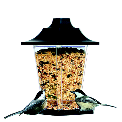 Perky Pet Wild Bird Carriage Feeder : Holds 1.5lbs