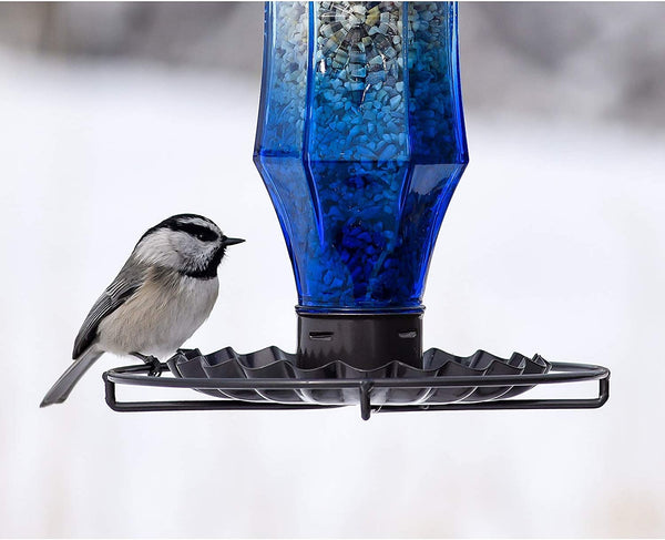 Perky Pet Wild Bird Vintage Blue Glass Feeder : Holds .5lbs