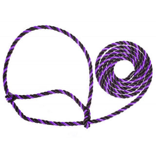 Rope Cattle Halters : Black with Purple Flecks