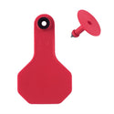 Y-Tex Red All American 2 Star Tags Small Blank: Pack of 25