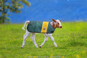 4-D AG Green and Gold Calf Jacket : Large