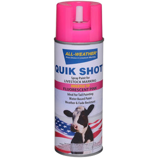 Quik Shot Spray Inverted Tip 12oz: Fluorescent Pink