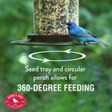 Perky Pet Wild Bird Panorama Feeder : Holds 2lbs