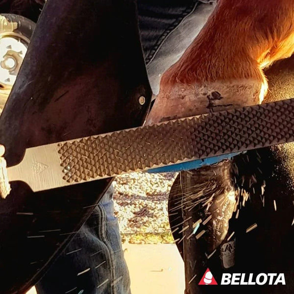 Bellota Razor Plus Farrier Hoof Rasp : 14 inches