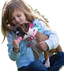 Kong Puppy: Medium Assorted Color each