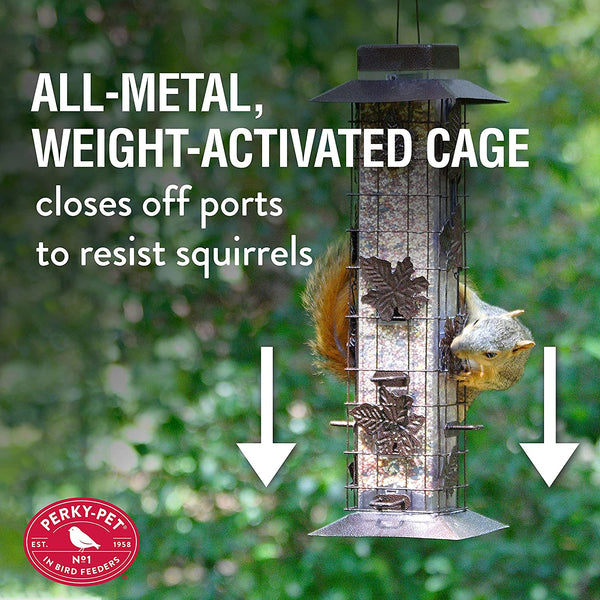 Perky Pet Wild Bird Squirrel B Gone Feeder : Holds 2lbs