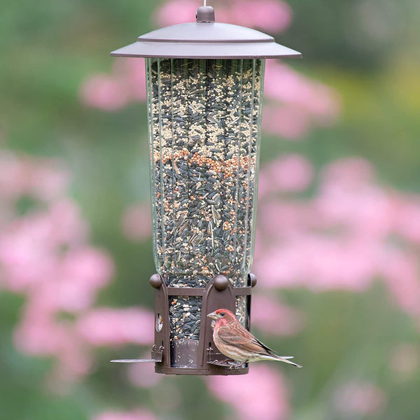 Perky Pet Wild Bird Squirrel B Gone Feeder : Holds 4 lbs