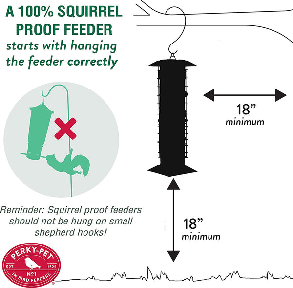 Perky Pet Wild Bird Squirrel B Gone Feeder : Holds 2lbs