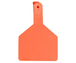 Z Tag No Snag Calf Tags: Blank- Pack of 100 Orange