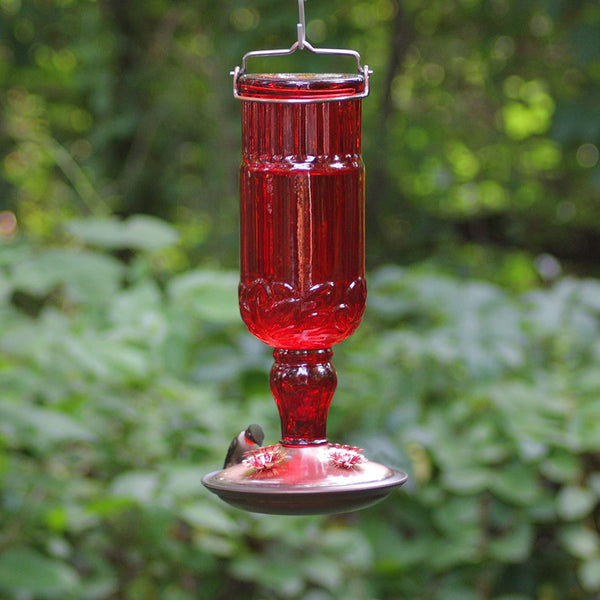 Perky Pet Hummingbird Antique Red Glass Feeder : 24oz