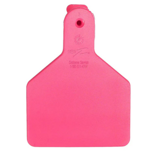 Z Tag No Snag Cow Tags: Blank- Pack of 100 Pink