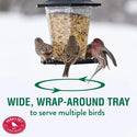 Perky Pet Wild Bird Carriage Feeder : Holds 1.5lbs