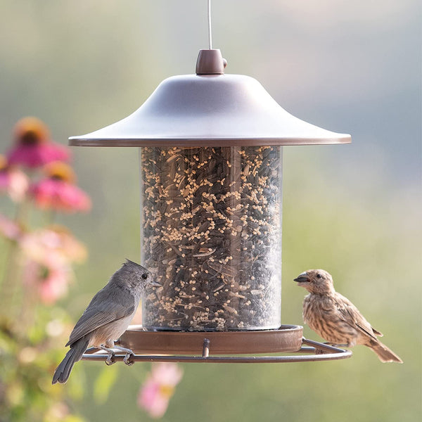 Perky Pet Wild Bird Panorama Feeder : Holds 2lbs