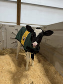 4-D AG Green and Gold Calf Jacket : Large