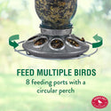 Perky Pet Wild Bird Mason Jar Feeder : Holds 1lb