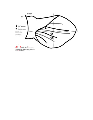 Z Tag No Snag Calf Tags: Blank - Pack of 100 Green