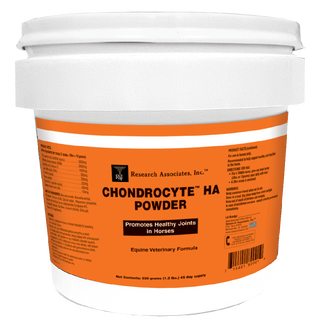 Chondrocyte HA Powder 550gm  : 45 Day