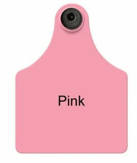 Allflex Maxi Tamperproof Pink Female Only : 25ct