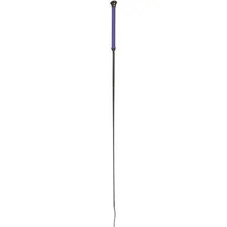 Driver Whip : Teal 33"