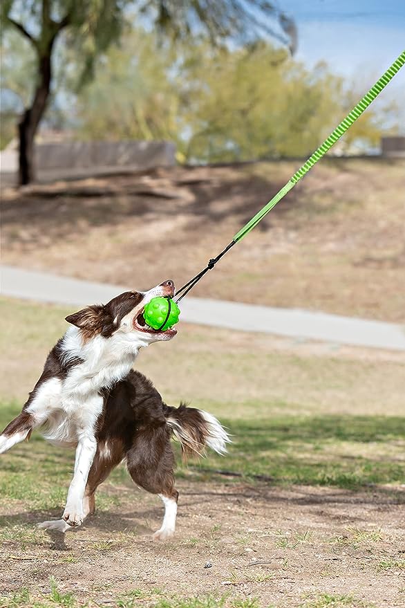 Jolly Pet Tree Tugger Dog Toy