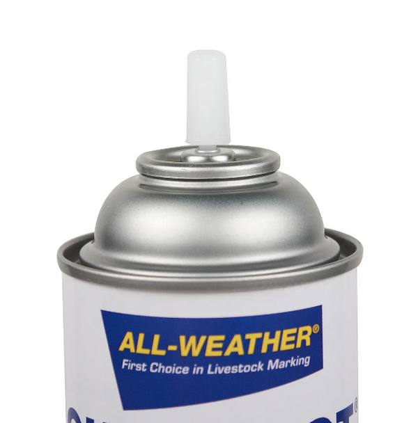 Quik Shot Spray Inverted Tip 16oz : Fluorescent Pink 12ct