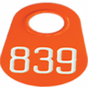 Bock's Pear Neck Tags - Numbered (1-3 Digits) : Orange w/ White Lettering