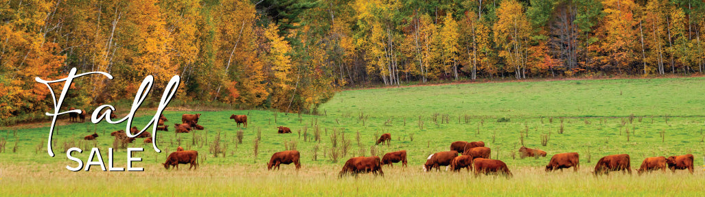 Hah fall 2025 8e579e1c dde5 4897 8946 fc18f4feeb8c