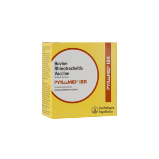 Pyramid IBR : 50ds