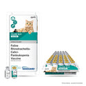 Vanguard Feline RCP Vaccine : 25 x 1ds
