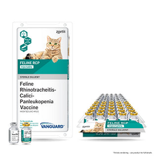 Vanguard Feline RCP Vaccine : 25 x 1ds