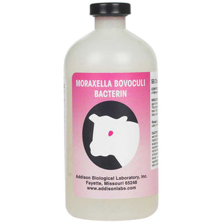 Pinkeye Moraxella Bovoculi : 50ds