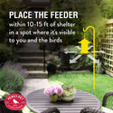 Perky Pet Wild Bird Panorama Feeder : Holds 2lbs