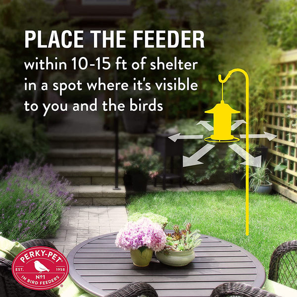 Perky Pet Wild Bird Panorama Feeder : Holds 2lbs