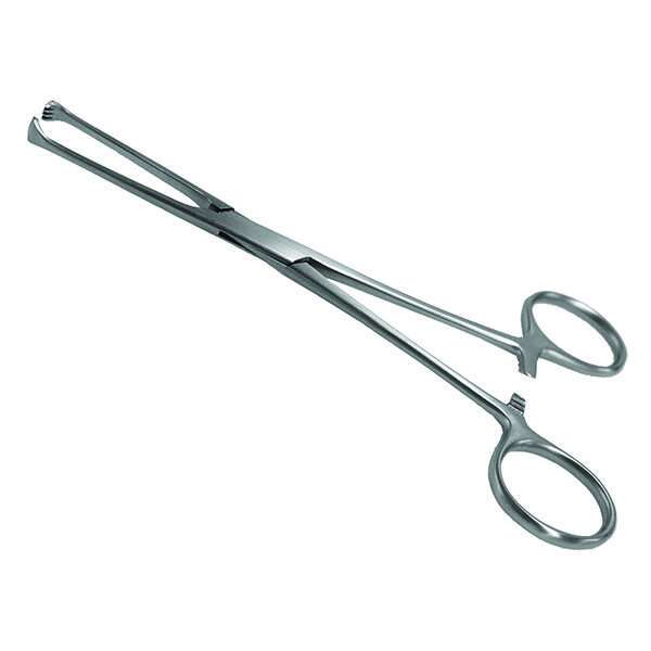 Allis Tissue Forcep J0080AW : 6 inches