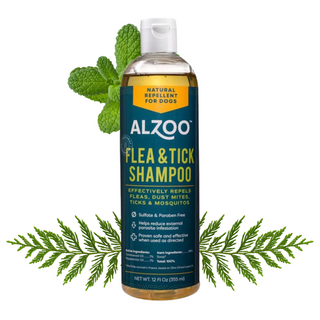Alzoo Flea & Tick Shampoo for Cats & Dogs : 12oz