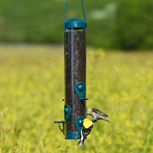 Perky Pet 2 In 1 Finch Green Feeder : Holds 1.5lbs