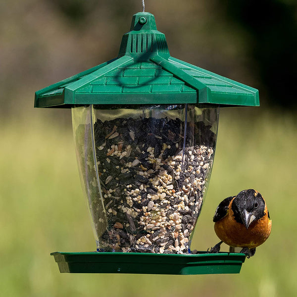 Perky Pet Wild Bird Feeder Chalet : Holds 1.25lb