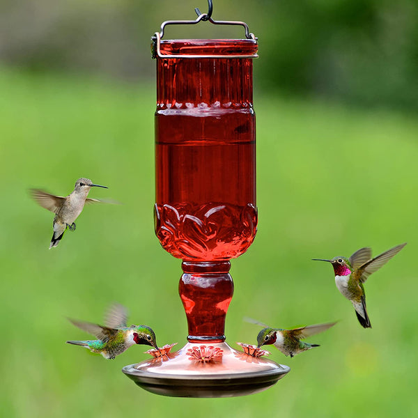 Perky Pet Hummingbird Antique Red Glass Feeder : 24oz