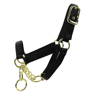 Calf Control Halter : Black