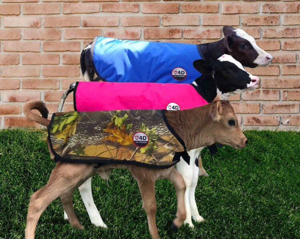 4-D AG Blue Calf Jacket : XL