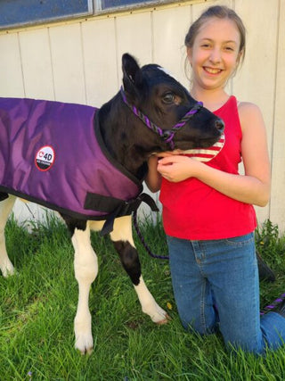 4-D AG Purple Calf Jacket : Small