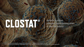 Clostat Water Soluable Microbial : 161gm