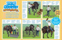 Big Country Toys Horse w/Cowboy Playset : 20pc