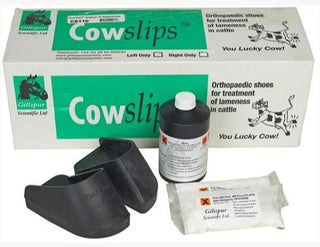 Cowslips Plus Kit Right : 10ct