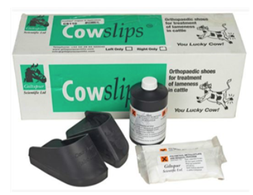 Cowslips Plus Kit Left : 10ct