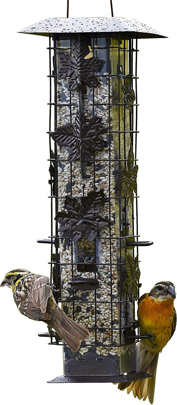 Perky Pet Wild Bird Squirrel B Gone Feeder : Holds 2lbs