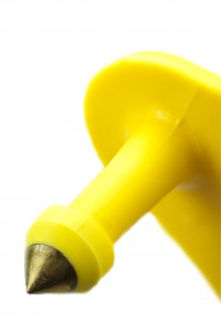 Ardes Blank Large Tags 25ct: Yellow