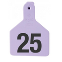 Z Tag Purple No Snag Calf ID Tag - Numbered 1 - 25 : Pack of 25