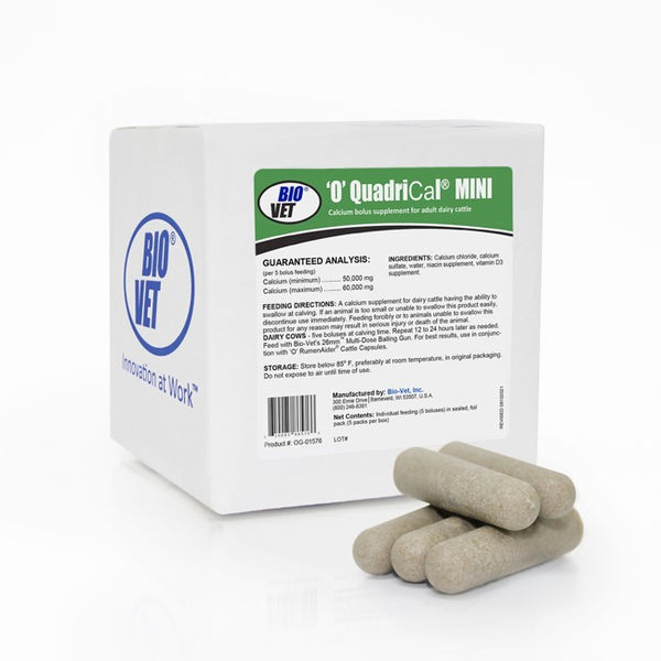 O' Quadrical Mini Calcium Boluses : 5ct