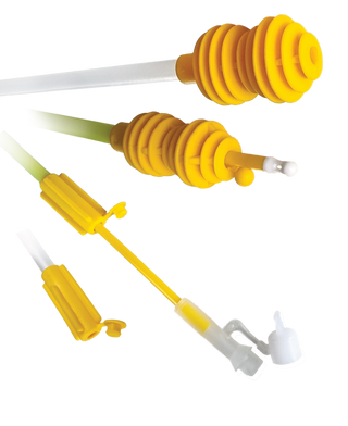 AI Catheter Goldenpig 2.0 Sow : 750ct